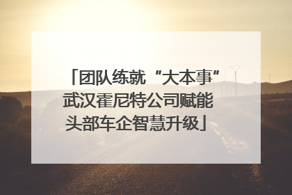 团队练就“大本事” 武汉霍尼特公司赋能头部车企智慧升级