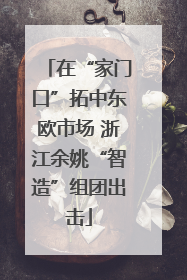 在“家门口”拓中东欧市场 浙江余姚“智造”组团出击