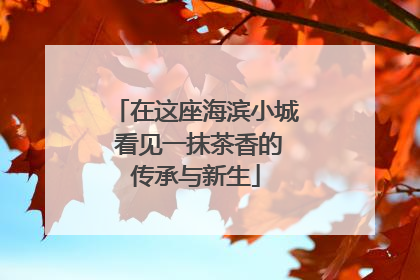 在这座海滨小城 看见一抹茶香的传承与新生