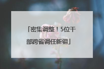 密集调整！5位干部跨省调任新疆