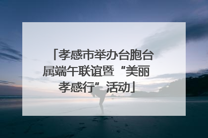 孝感市举办台胞台属端午联谊暨“美丽孝感行”活动