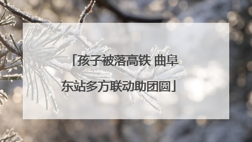 孩子被落高铁 曲阜东站多方联动助团圆