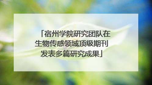 宿州学院研究团队在生物传感领域顶级期刊发表多篇研究成果
