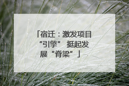 宿迁：激发项目“引擎” 挺起发展“脊梁”
