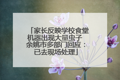 家长反映学校食堂机器出现大量虫子 余姚市多部门回应：已去现场处理