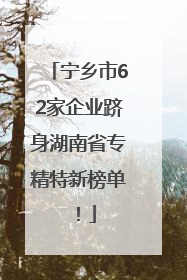 宁乡市62家企业跻身湖南省专精特新榜单！