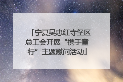 宁夏吴忠红寺堡区总工会开展“携手童行”主题慰问活动