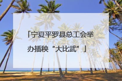 宁夏平罗县总工会举办插秧“大比武”
