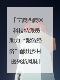宁夏西夏区 科技特派员助力“紫色经济”酿出乡村振兴新风味