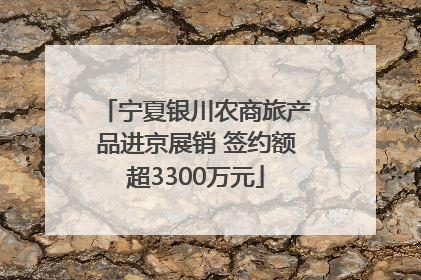 宁夏银川农商旅产品进京展销 签约额超3300万元