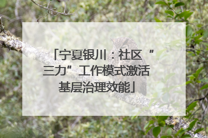 宁夏银川：社区“三力”工作模式激活基层治理效能