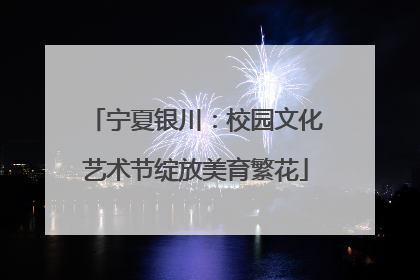 宁夏银川：校园文化艺术节绽放美育繁花