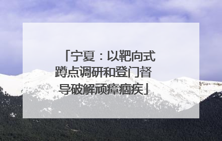 宁夏：以靶向式蹲点调研和登门督导破解顽瘴痼疾