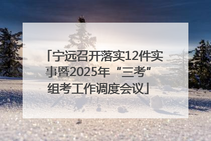 宁远召开落实12件实事暨2025年“三考”组考工作调度会议