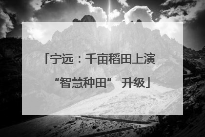 宁远：千亩稻田上演 “智慧种田” 升级