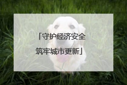 守护经济安全 筑牢城市更新