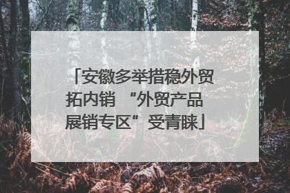安徽多举措稳外贸拓内销 “外贸产品展销专区”受青睐