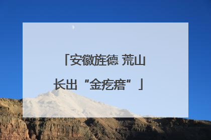 安徽旌德 荒山长出“金疙瘩”
