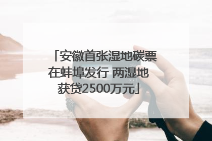 安徽首张湿地碳票在蚌埠发行 两湿地获贷2500万元