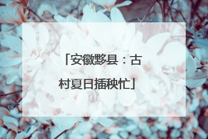 安徽黟县：古村夏日插秧忙