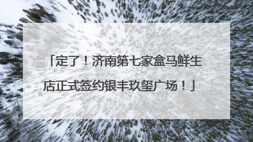 定了！济南第七家盒马鲜生店正式签约银丰玖玺广场！