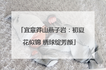 宜章莽山燕子岩：初夏花似锦 绣球绽芳颜