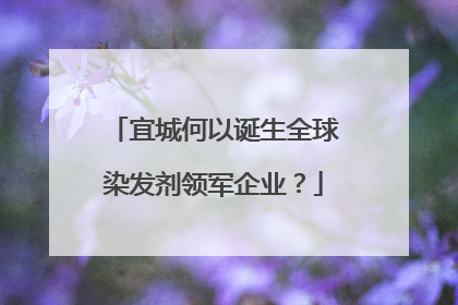 宜城何以诞生全球染发剂领军企业？