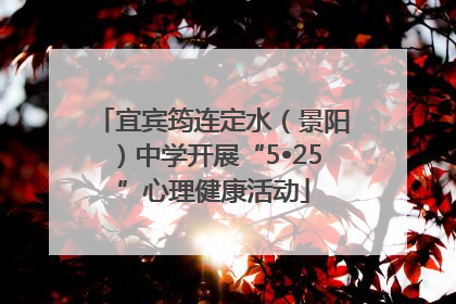 宜宾筠连定水（景阳）中学开展“5•25”心理健康活动