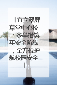 宜宾翠屏草堂中心校：多举措筑牢安全防线，全方位护航校园安全