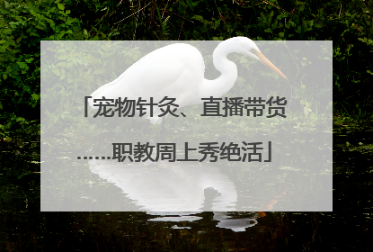 宠物针灸、直播带货……职教周上秀绝活