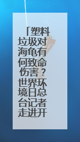 塑料垃圾对海龟有何致命伤害？世界环境日总台记者走进开普敦海洋馆