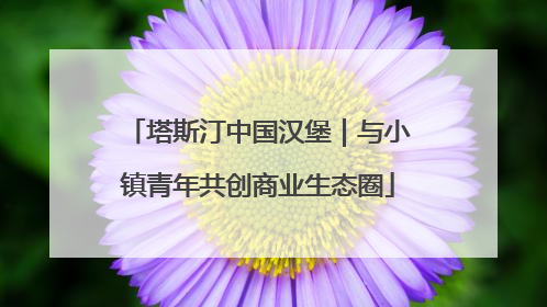塔斯汀中国汉堡｜与小镇青年共创商业生态圈