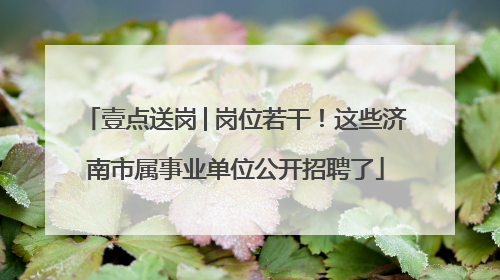壹点送岗│岗位若干！这些济南市属事业单位公开招聘了