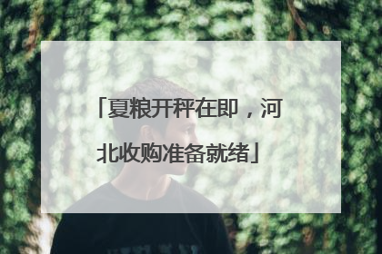 夏粮开秤在即，河北收购准备就绪