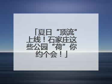 夏日“顶流”上线！石家庄这些公园“荷”你约个会！
