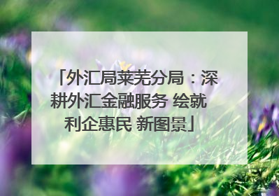 外汇局莱芜分局：深耕外汇金融服务 绘就利企惠民 新图景