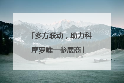 多方联动，助力科摩罗唯一参展商