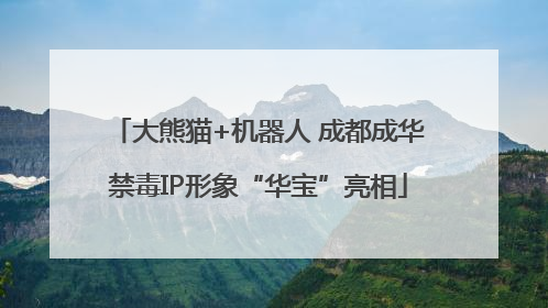 大熊猫+机器人 成都成华禁毒IP形象“华宝”亮相