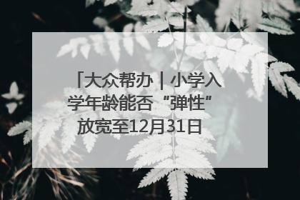大众帮办｜小学入学年龄能否“弹性”放宽至12月31日？有地方已在探索