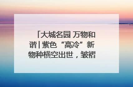 大城名园 万物和谐│紫色“高冷”新物种横空出世，皱褶叶片暗藏进化密码