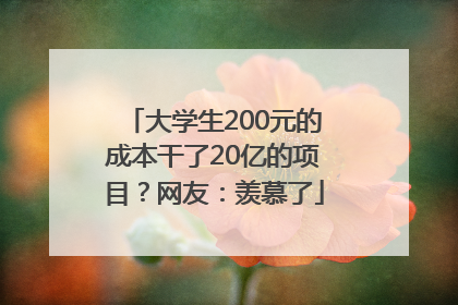 大学生200元的成本干了20亿的项目？网友：羡慕了