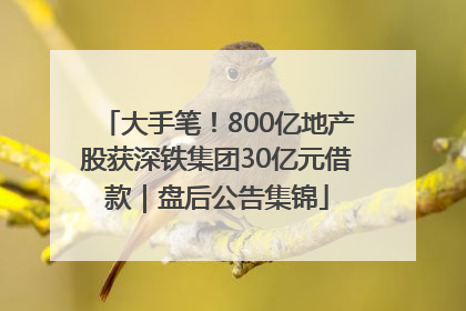 大手笔！800亿地产股获深铁集团30亿元借款｜盘后公告集锦