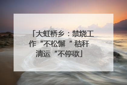 大虹桥乡：禁烧工作“不松懈“ 秸秆清运“不停歇