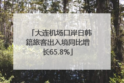 大连机场口岸日韩籍旅客出入境同比增长65.8%