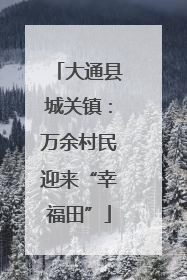 大通县城关镇：万余村民迎来“幸福田”