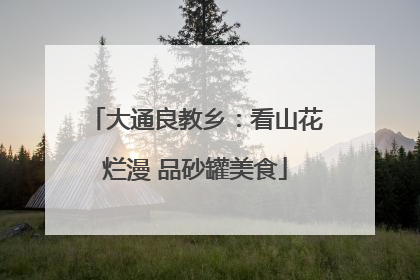 大通良教乡：看山花烂漫 品砂罐美食
