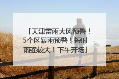 天津雷雨大风预警！5个区暴雨预警！短时雨强较大！下午开场