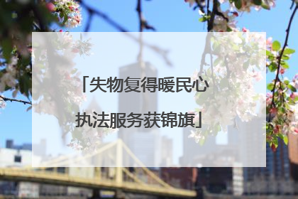 失物复得暖民心 执法服务获锦旗