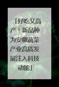 好吃又高产！新品种为安徽蔬菜产业高质发展注入科技动能