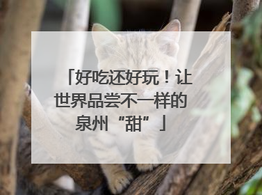 好吃还好玩！让世界品尝不一样的泉州“甜”